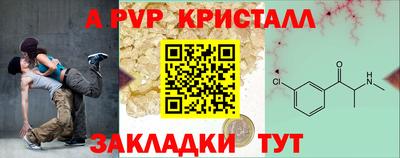 apvp Рузаевка