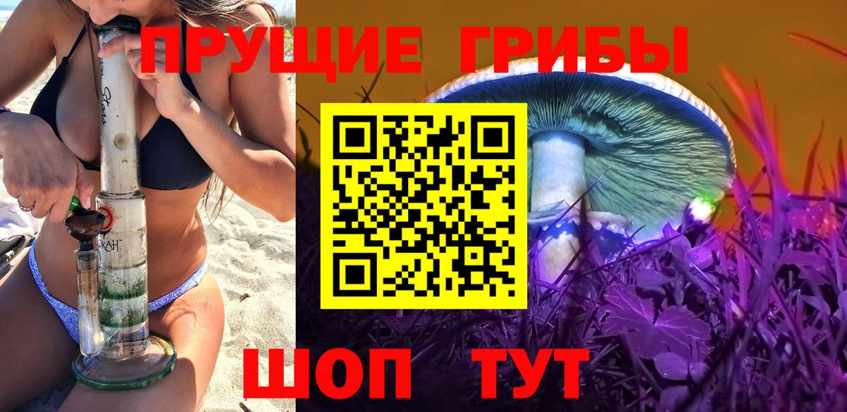 Псилоцибиновые грибы Psilocybe  Вход с VPN  Псилоцибиновые грибы мицелий  Ростов Великий 